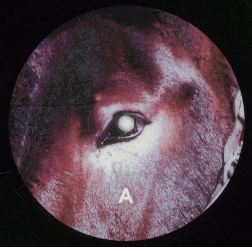 Protomartyr Ultimate Success Today vinyl LP album (LP record) UK QR4LPUL890832
