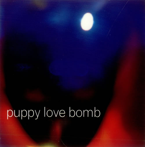 Puppy Love Bomb Not Listening 7" vinyl single (7 inch record / 45) UK PW307NO510254