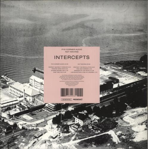 Pye Corner Audio Intercepts - Grey Vinyl vinyl LP album (LP record) US 3Y2LPIN854778