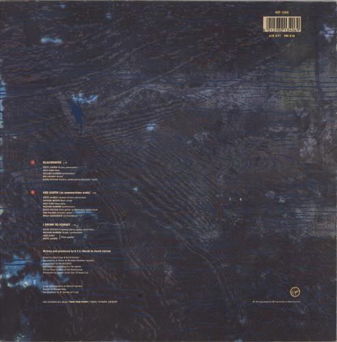 Rain Tree Crow Blackwater + Art Print 12" vinyl single (12 inch record / Maxi-single) UK RCR12BL97331