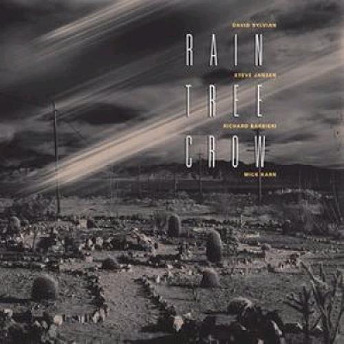 Rain Tree Crow Rain Tree Crow CD album (CDLP) UK RCRCDRA359788