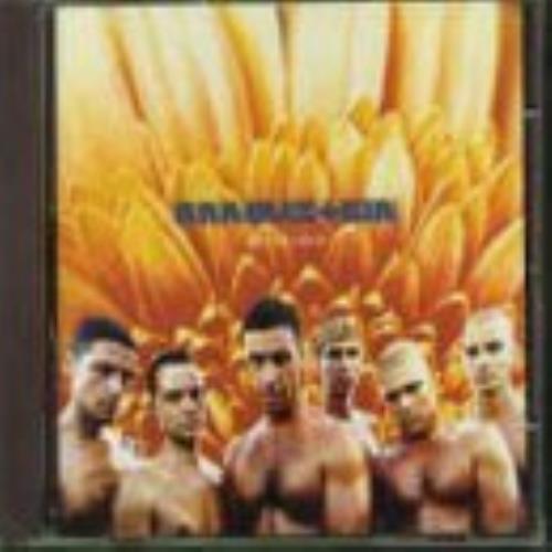 Rammstein Herzleid CD album (CDLP) German RMMCDHE132532