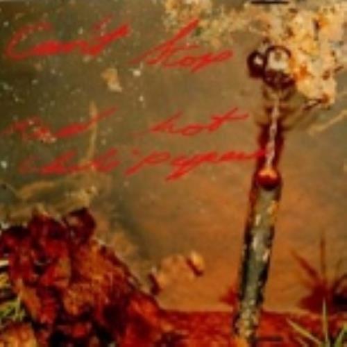 Red Hot Chili Peppers Can't Stop 2-CD single set (Double CD single) UK RHC2SCA233597