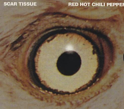 Red Hot Chili Peppers Scar Tissue CD single (CD5 / 5") US RHCC5SC332729