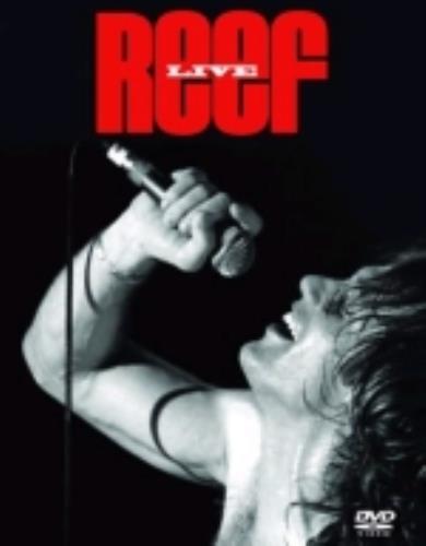Reef Live DVD UK EEFDDLI248631