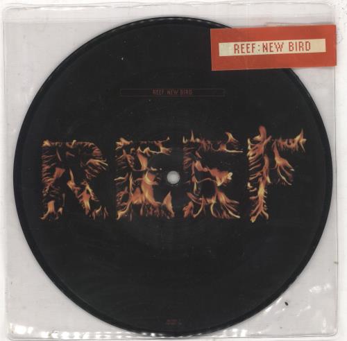 Reef New Bird 7" vinyl picture disc (7 inch picture disc single) UK EEF7PNE741036