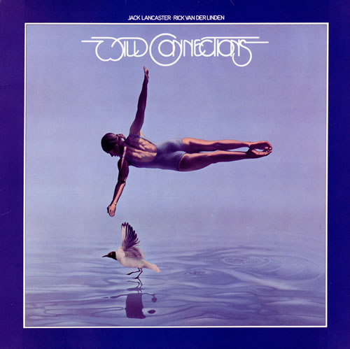 Rick Van Der Linden Wild Connections vinyl LP album (LP record) UK RVILPWI461747