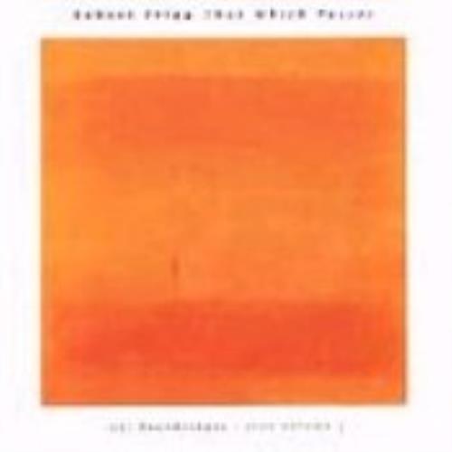 Robert Fripp Soundbites 1995 Soundscapes Vol 3 CD album (CDLP) Japanese RFRCDSO73206