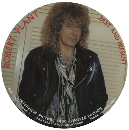 Robert Plant Past And Present picture disc LP (vinyl picture disc album) UK PLAPDPA329342