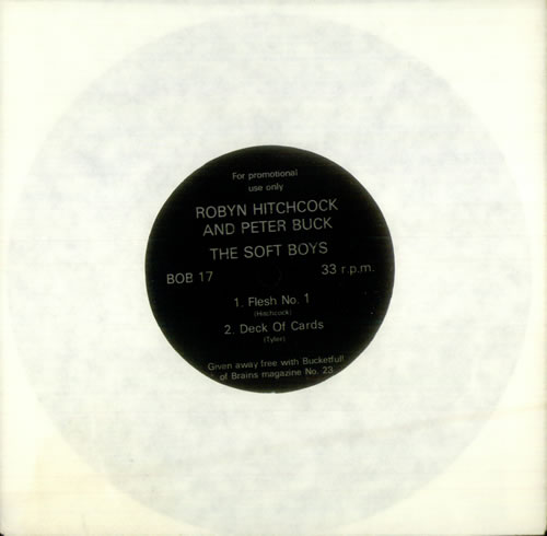 Robyn Hitchcock Flesh No.1 7" vinyl single (7 inch record / 45) UK RHI07FL182461