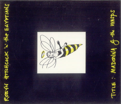 Robyn Hitchcock Madonna Of The Wasps CD single (CD5 / 5") US RHIC5MA156311