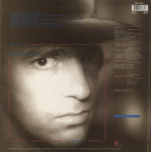 Robyn Hitchcock Perspex Island - EX vinyl LP album (LP record) Dutch RHILPPE856391