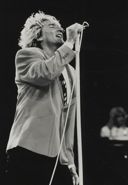 Rod Stewart Publicity Photograph photograph Dutch RODPHPU410719