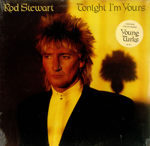 Rod Stewart Tonight I'm Yours - Sealed vinyl LP album (LP record) US RODLPTO439666
