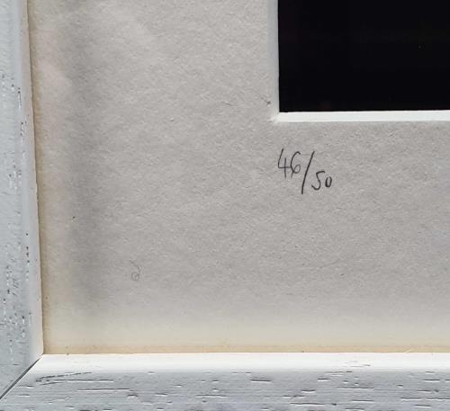 Roxy Music For Your Pleasure - Signed Print memorabilia UK RXYMMFO722223