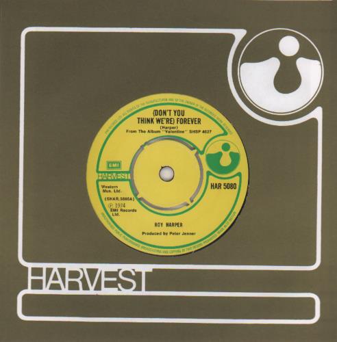 Roy Harper (Don't You Think We're) Forever 7" vinyl single (7 inch record / 45) UK ROY07DO651669