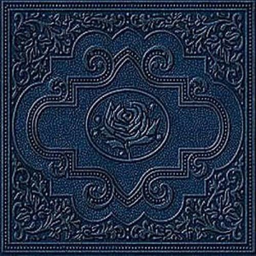 Ryan Adams Cold Roses 2 CD album set (Double CD) UK YAA2CCO351733