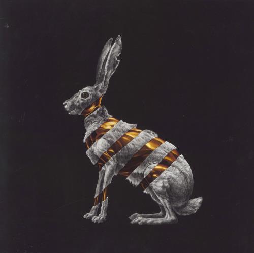 San Fermin Jackrabbit vinyl LP album (LP record) UK 6J4LPJA827204