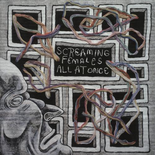 Screaming Females All At Once 2-LP vinyl record set (Double LP Album) US 6F72LAL886843