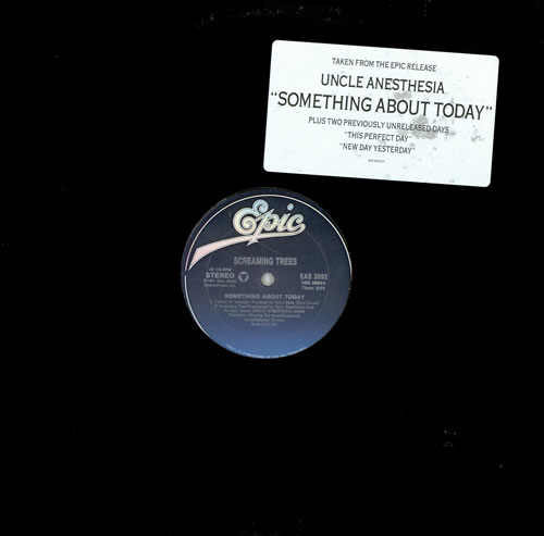 Screaming Trees Something About Today 12" vinyl single (12 inch record / Maxi-single) US SCT12SO476173