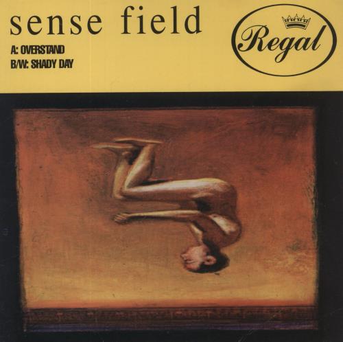 Sense Field Overstand UK 7