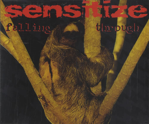 Sensitize Falling Through CD single (CD5 / 5") UK STZC5FA386772