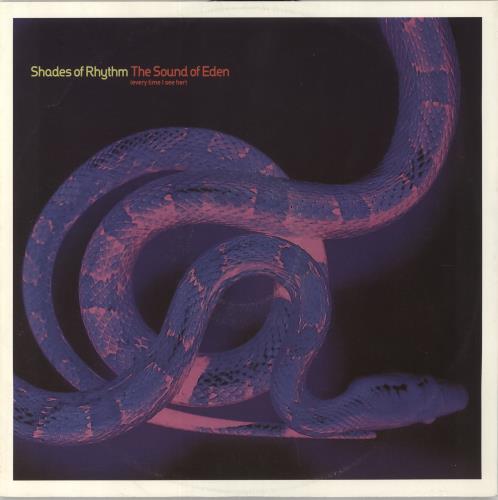Shades Of Rhythm The Sound Of Eden (Everytime I See Her) VG 12" vinyl single (12 inch record / Maxi-single) UK SOR12TH859223