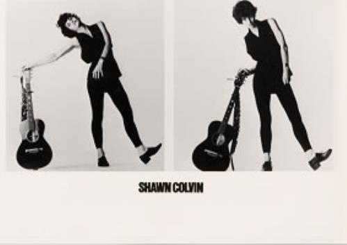 Shawn Colvin Steady On vinyl LP album (LP record) Dutch SCLLPST169603
