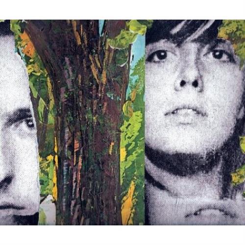 She Keeps Bees Nests CD album (CDLP) UK S5KCDNE479138