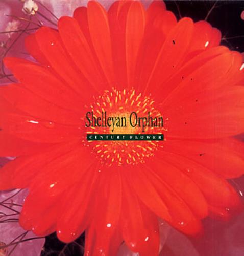 Shelleyan Orphan Century Flower vinyl LP album (LP record) UK SEYLPCE299815