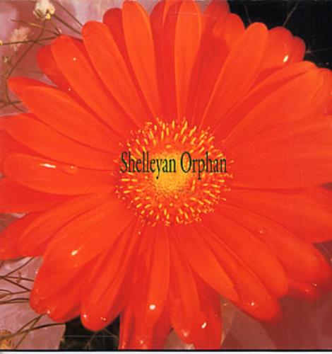 Shelleyan Orphan Century Flower vinyl LP album (LP record) Spanish SEYLPCE300339