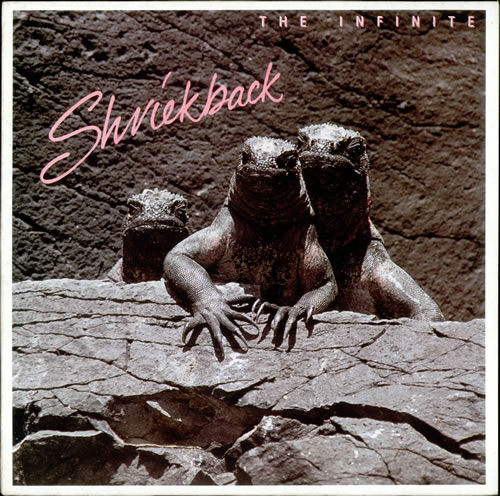Shriekback The Infinite vinyl LP album (LP record) UK SRKLPTH453527