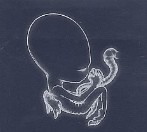 Sigur Ros Agaetis Byrjun CD album (CDLP) Icelandic SIUCDAG258881