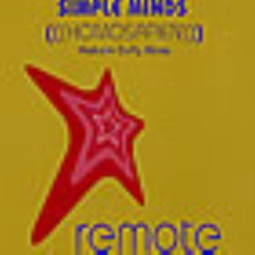 Simple Minds Homosapien 12" vinyl single (12 inch record / Maxi-single) UK SIM12HO202811
