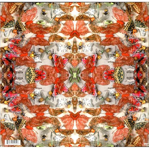 Siouxsie Sioux Mantaray vinyl LP album (LP record) UK 5-OLPMA411947