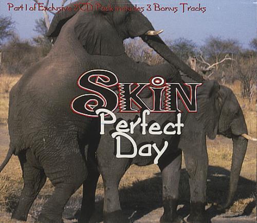 Skin [Rock] Perfect Day 2-CD single set (Double CD single) UK SKN2SPE205272