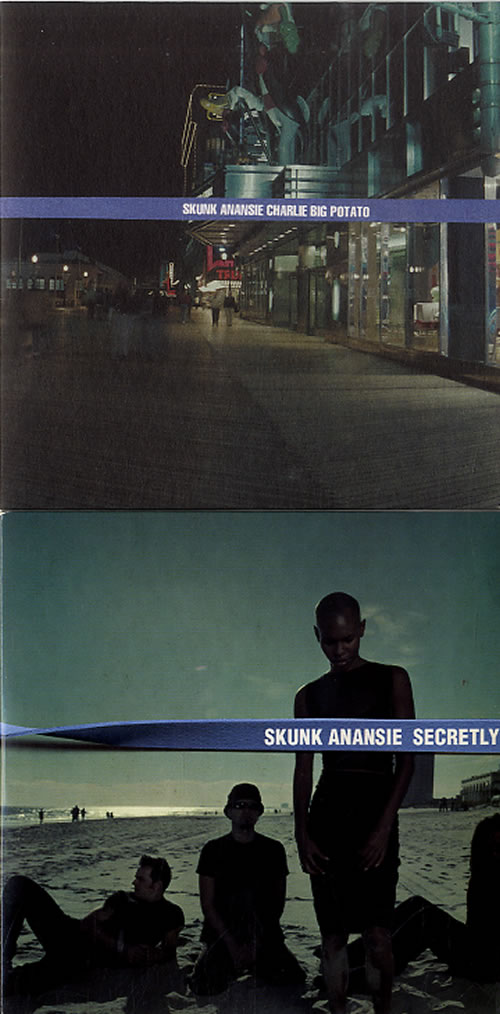 skunk anansie post orgamic chill