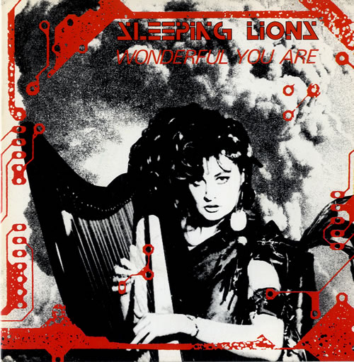 Sleeping Lions Wonderful You Are 7" vinyl single (7 inch record / 45) UK W0407WO614496