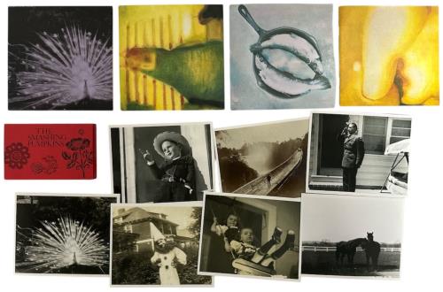 Smashing Pumpkins Pisces Iscariot - Deluxe Editon CD Album Box Set US SMPDXPI859348