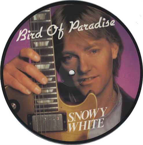 Snowy White Bird Of Paradise 7" vinyl picture disc (7 inch picture disc single) UK SN07PBI340491