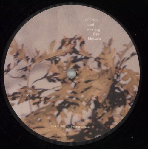 Soccer Mommy Clean vinyl LP album (LP record) US 6RJLPCL865248