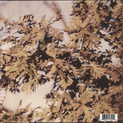 Soccer Mommy Clean vinyl LP album (LP record) US 6RJLPCL865248