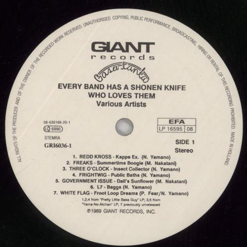 Sonic Youth Burning Farm - Shonen Knife Tribute vinyl LP album (LP record) Dutch S-YLPBU515204