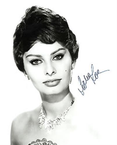 Sophia Loren Autographed Portrait Photograph photograph UK SA0PHAU262693