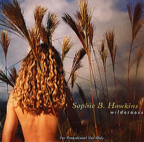 Sophie B Hawkins Wilderness CD album (CDLP) US SBHCDWI279846