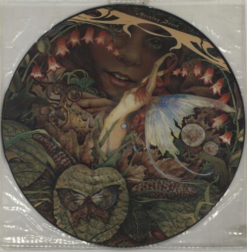 Spyro Gyra Morning Dance picture disc LP (vinyl picture disc album) US S-GPDMO666806