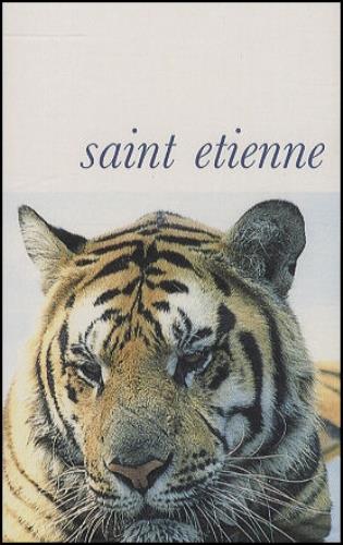 St Etienne Pale Movie cassette single UK ETICSPA274099