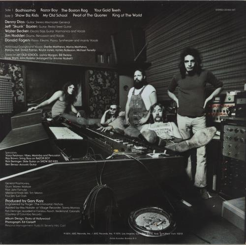 Steely Dan Countdown To Ecstasy vinyl LP album (LP record) Dutch S-DLPCO626733