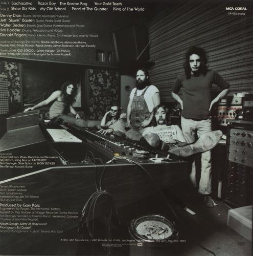 Steely Dan Countdown To Ecstasy vinyl LP album (LP record) Dutch S-DLPCO655198