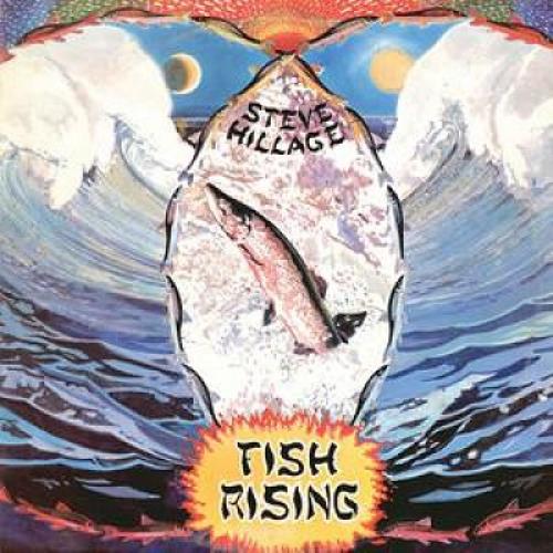 Steve Hillage Fish Rising CD album (CDLP) UK LLGCDFI383584
